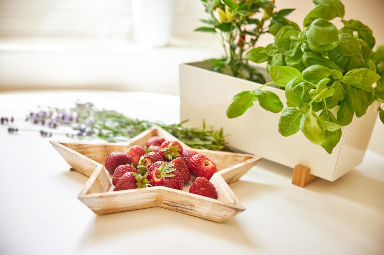 Apartmany Challupa Horní Maršov Extérieur photo