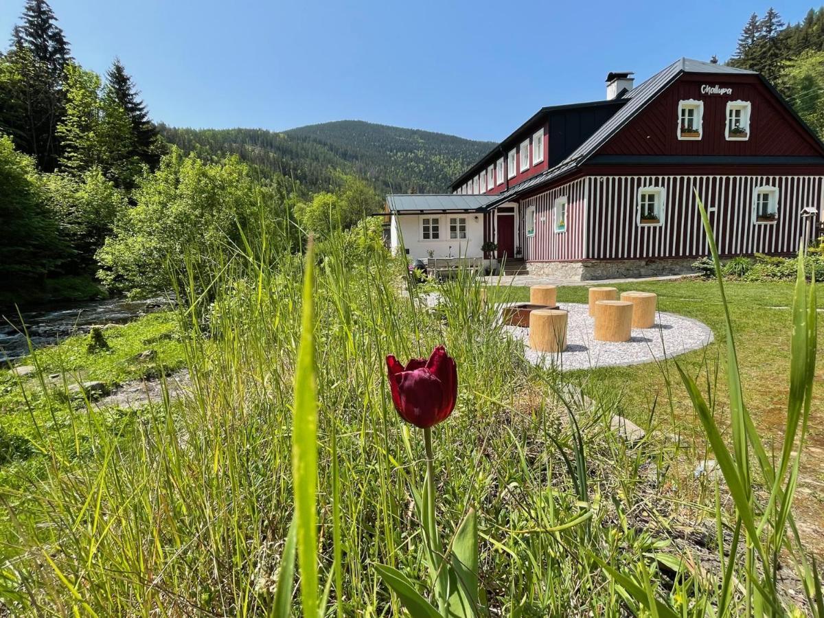 Apartmany Challupa Horní Maršov Extérieur photo